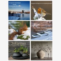 Fotokaarten kerst (6 st.)