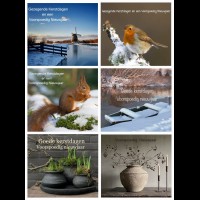 Fotokaarten kerst (6 st.)